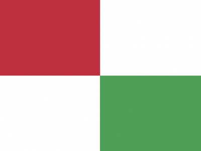 Vlag Opsterland 070x100 cm