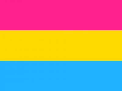 Vlag Panseksualiteit 070x100 cm