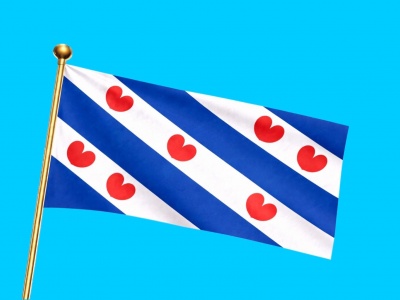 Vlag provincie Friesland 300x450 cm Vlag provincie Friesland 300x450 cm
