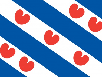 Vlag provincie Friesland 70x100 cm