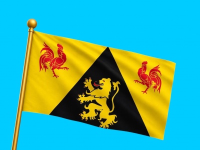 Vlag provincie Waals-Brabant 100x150 cm Vlag provincie Waals-Brabant 100x150 cm