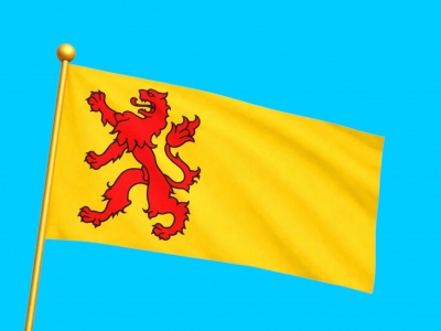 Vlag provincie Zuid-Holland 020x030 cm Vlag provincie Zuid-Holland 020x030 cm