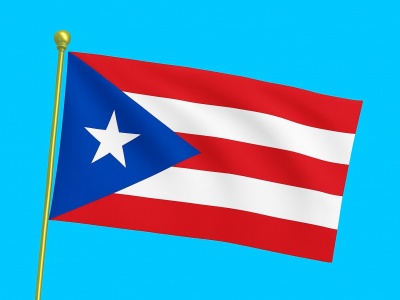 Vlag Puerto Rico 040x060 cm