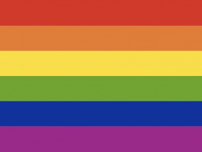Vlag Regenboog 070x100 cm