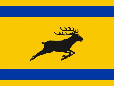 Vlag streek Veluwe 070x100 cm