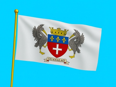 Vlag Saint-Barthélemy 050x075 cm