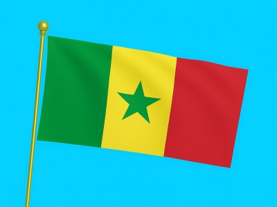 Vlag Senegal 040x060 cm Vlag Senegal 040x060 cm