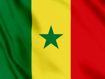 vlag Senegal 100x70
