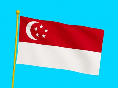 Vlag Singapore 050x075 cm Vlag Singapore 050x075 cm