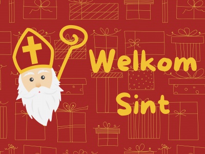 Vlag Sinterklaas versie 006 225x350 cm