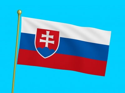 Vlag Slowakije 040x060 cm