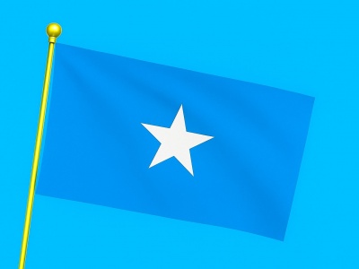 Vlag Somalië 040x060 cm