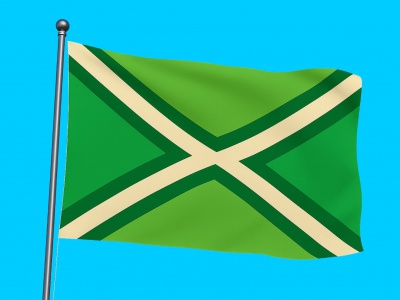 Vlag streek Achterhoek 070x100 cm