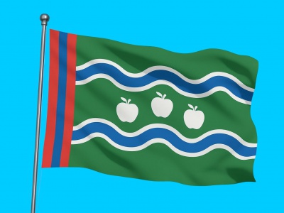 Vlag streek Betuwe 040x060 cm