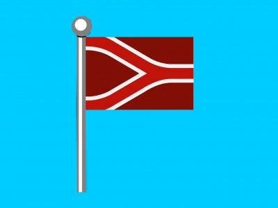 Vlag streek Liemers 010x015 cm