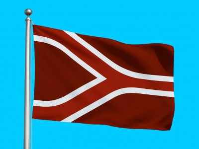 Vlag streek Liemers 150x225 cm