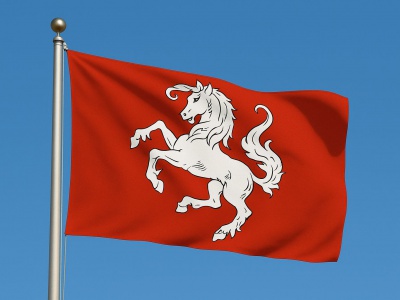 Vlag streek twente (Twentse Ros) 150x225 cm