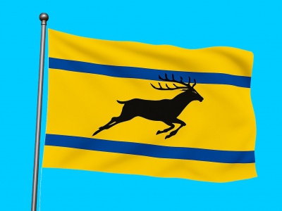 Vlag Streek Veluwe 040x060 cm