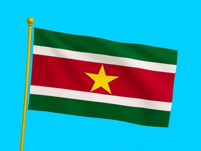 Vlag Suriname 200x300 cm