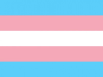 Vlag Transgender 100x150 cm