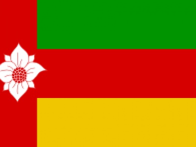 Vlag Tynaarlo 70x100 cm