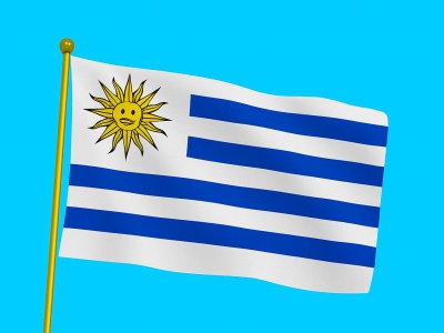 Vlag Uruguay 020x030 cm Vlag Uruguay 020x030 cm