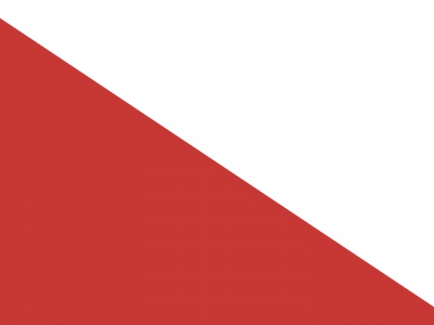 Vlag Utrecht, stad 70X100 cm