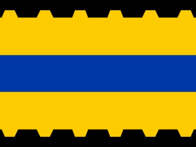 Vlag Veenendaal 70x100 cm