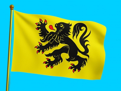 Vlag Vlaanderen 010x015 cm