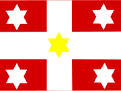Vlag Vollenhove 70x100 cm