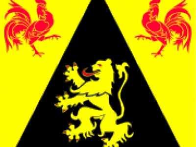 Vlag Waals-Brabant 70x100 cm