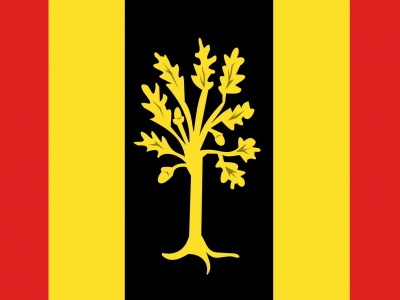 Vlag Waalwijk 020x030 cm