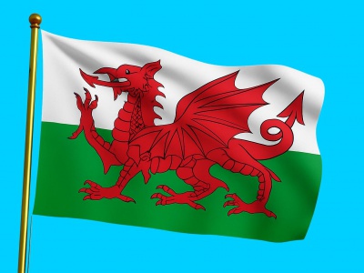 Vlag Wales 020x030 cm