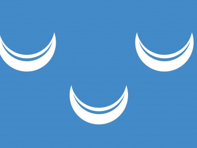 Vlag Wassenaar 150x225 cm