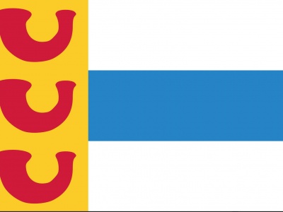 Vlag Weert 010x015 cm