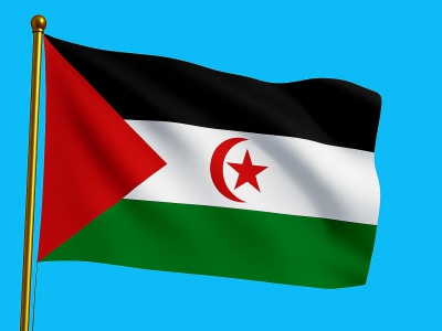 vlag Westelijke Sahara 010x015 cm