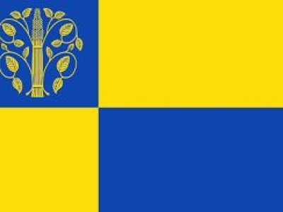 Vlag Westerwolde 050x075 cm Vlag Westerwolde 050x075 cm