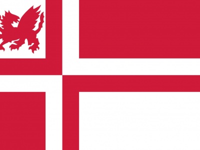 Vlag Weststellingwerf 020x030 cm