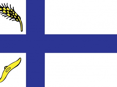 Vlag Wierden 150x225 cm