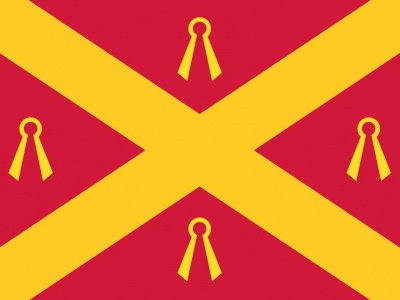 Vlag Wijchen 010x015 cm