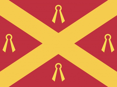 Vlag Wijchen 70x100 cm