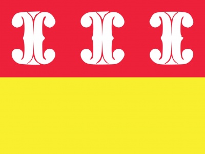 Vlag Wijk bij Duurstede 030x045 cm