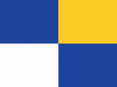 Vlag Winterswijk 040x060 cm