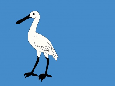 Vlag Wormerland 050x075 cm