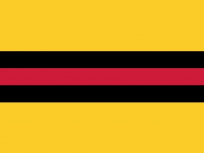 Vlag Woudenberg 120x180 cm