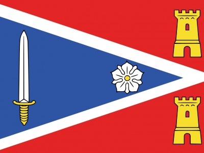 Vlag Zaltbommel 070x100 cm