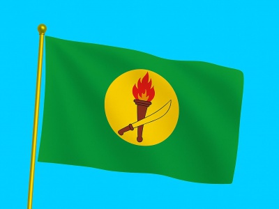 Vlag Zaïre 040x060 cm