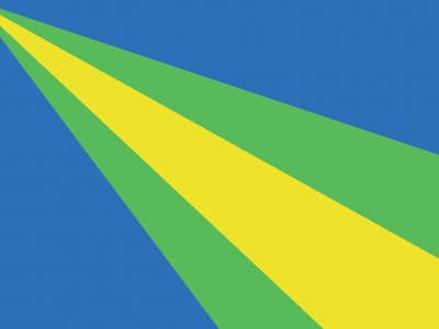 Vlag Zeewolde 300x450 cm