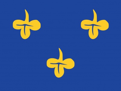 Vlag Zoeterwoude 200x300 cm