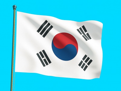 Vlag Zuid-Korea 040x060 cm